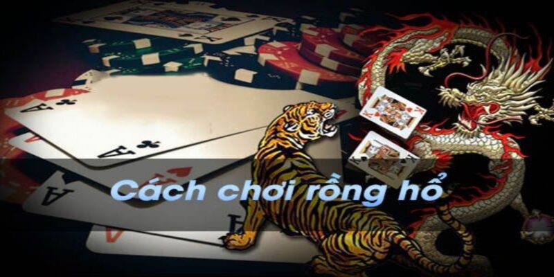 Xem cách chơi tại hướng dẫn chơi rồng hổ